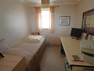 Picture 13